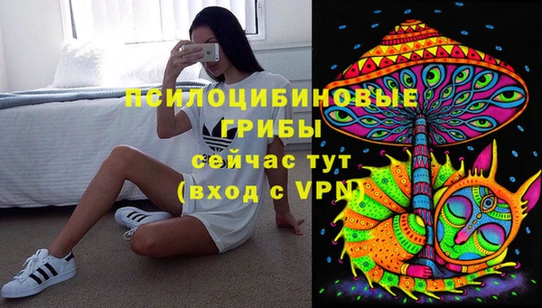 прущая мука Алзамай