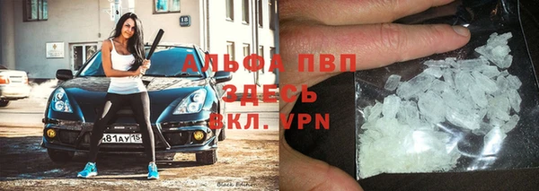 крисы Абаза