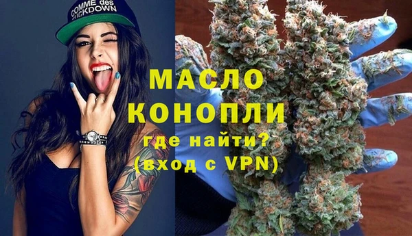 амф Новозыбков
