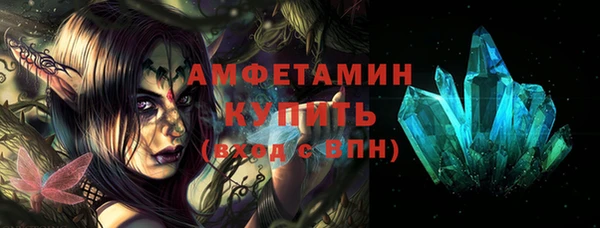 амф Новозыбков