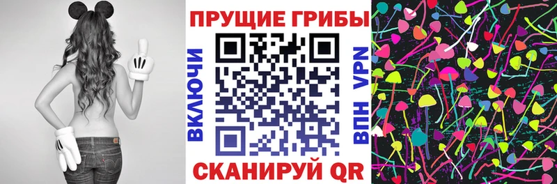 сколько стоит  Приволжский  нарко площадка наркотические препараты  Галлюциногенные грибы мицелий 